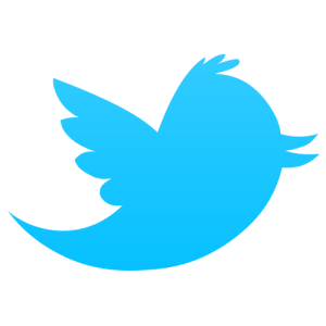 Buy Twitter PVA Accounts
